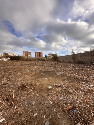 Vente Terrain Alger Dely brahim