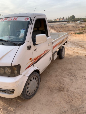 camionnette-dfsk-mini-truck-2014-sc-2m30-oum-touyour-el-oued-algerie