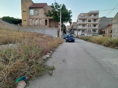 Vente Terrain Constantine Constantine