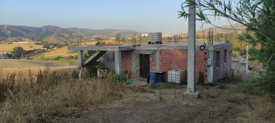 carcasse-vente-boumerdes-tidjelabine-algerie