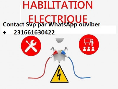 HABILITATION ELECTRIQUE & TRAVAUX H