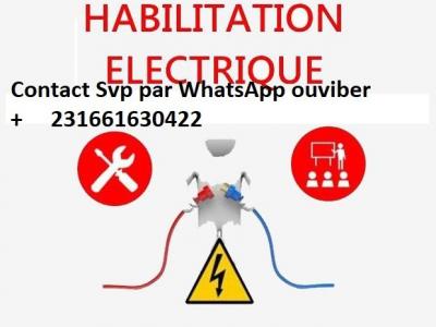 FORMATION HABILITATION (electrique,chimique ,Travaux en HOTEUR 