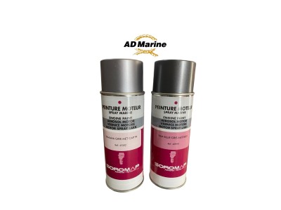 Peinture moteur bateaux