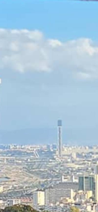 Location Villa Alger Alger centre