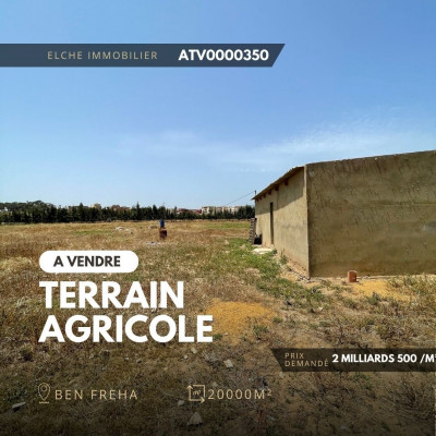 Vente Terrain Agricole Oran Ben freha