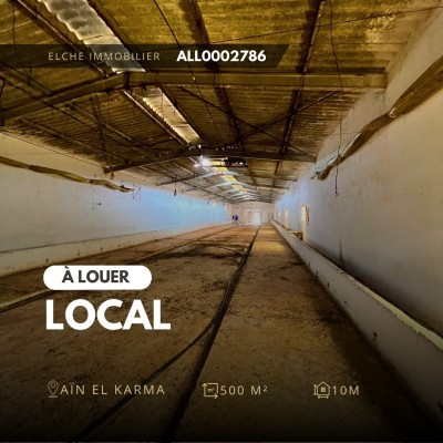 كراء محل وهران عين الكرمة