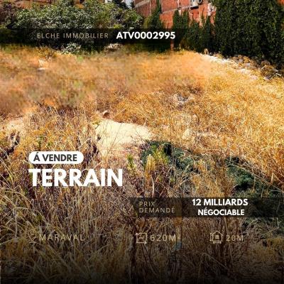 بيع أرض وهران وهران