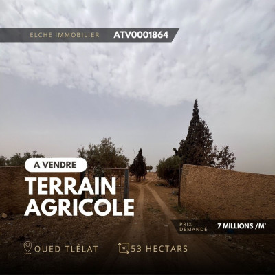 terrain-agricole-vente-oran-oued-tlelat-algerie