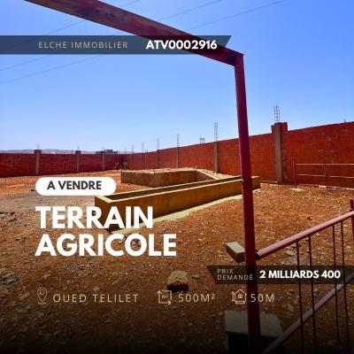 بيع أرض وهران وادي تليلات