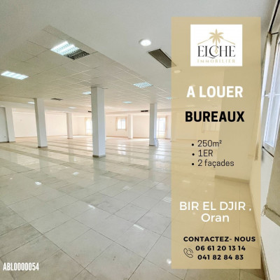 Location Local Oran Bir el djir