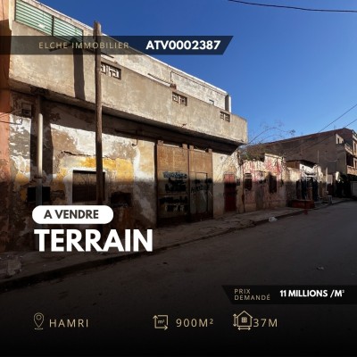 بيع أرض وهران وهران