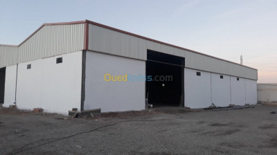 Rent Hangar Oran Sidi chami