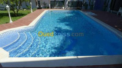 services-construction-et-couverture-piscine-kouba-alger-algerie