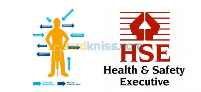 Agent HSE+S-HSE