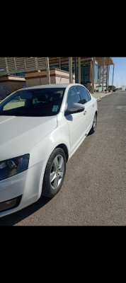 voitures-skoda-octavia-2014-elegance-djelfa-algerie