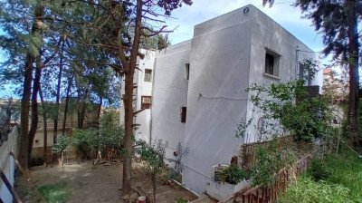 villa-vente-alger-bouzareah-algerie
