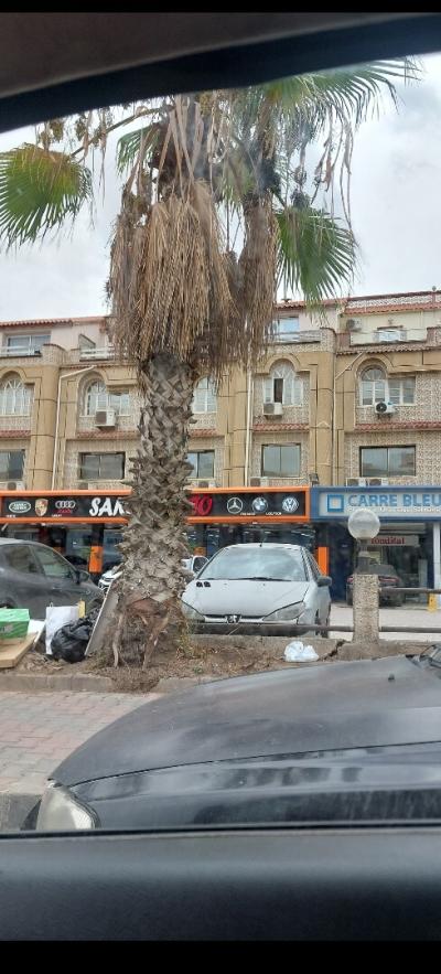 Location Appartement Niveau de villa F10+ Alger Bab ezzouar