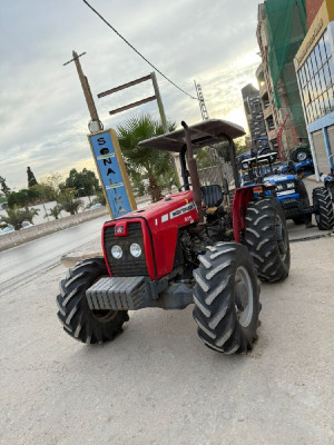 tracteurs-sonalika-massi-sirta-2024-ain-merane-chlef-algerie