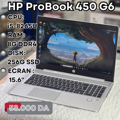 HP ProBook 450 G6 i5 8eme 8g 256g SSD 15.6"