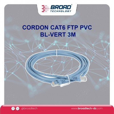 CORDON CAT6 FTP PVC BL-VERT 3M