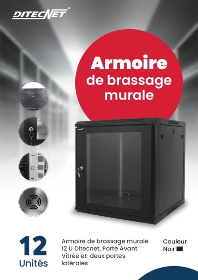 Armoire de brassage Murale 12 U DITECNET 