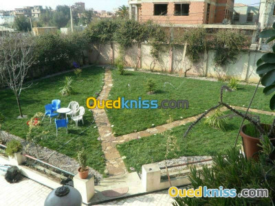 jardinage-espace-vert-blida-algerie