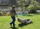 jardinage-مشتلة-العشب-لتهيئة-المساحات-الخضراء-blida-algerie