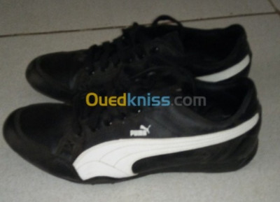 Ouedkniss basket clearance puma