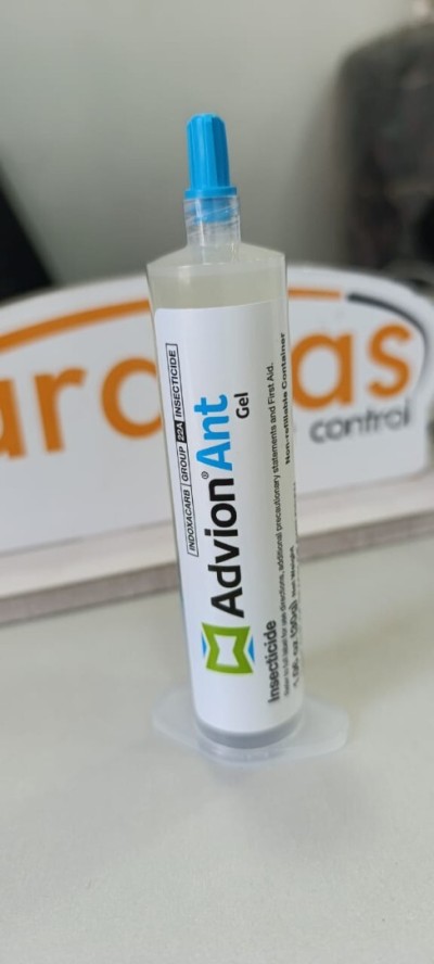 Poudre et Appât anti-fourmis