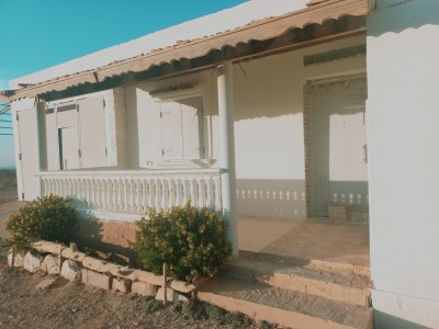 Vente Terrain Agricole Djelfa Charef