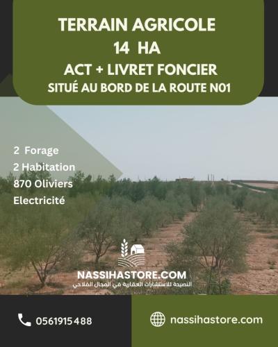 Vente Terrain Agricole Djelfa Ain oussara