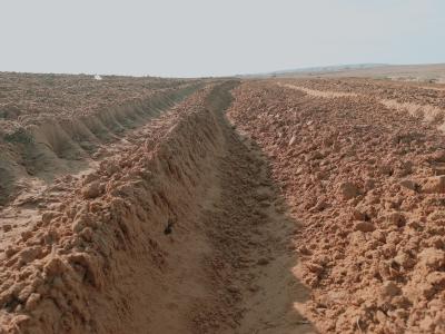 Vente Terrain Agricole Djelfa Djelfa