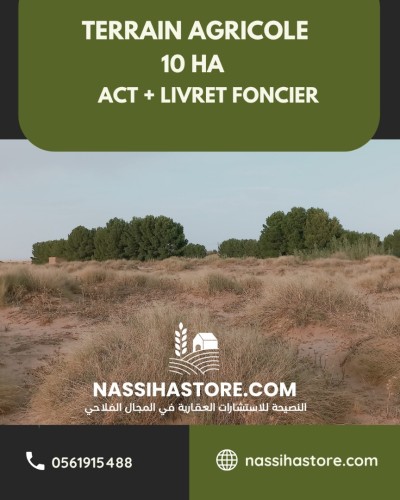Vente Terrain Agricole Djelfa Charef