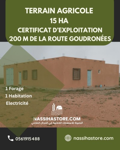Vente Terrain Agricole Djelfa Hassi bahbah