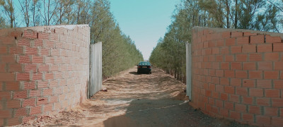 terrain-agricole-vente-djelfa-hassi-bahbah-algerie