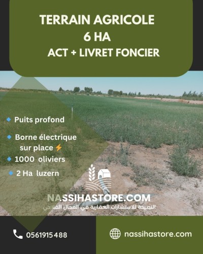 Vente Terrain Agricole Djelfa Charef