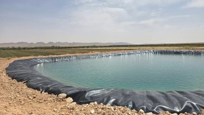 Vente Terrain Agricole Djelfa Bouira lahdab