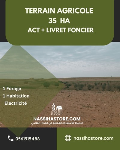 Vente Terrain Agricole Djelfa Birine