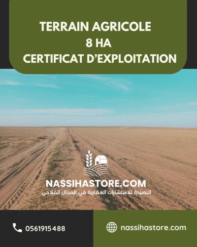 Vente Terrain Agricole Djelfa Birine