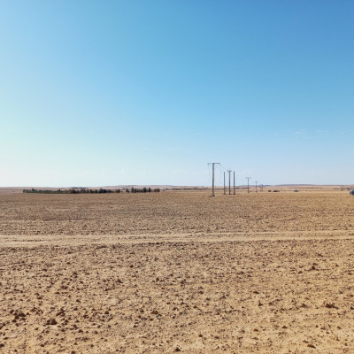 terrain-agricole-vente-djelfa-birine-algerie