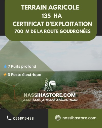 Vente Terrain Agricole Djelfa Birine