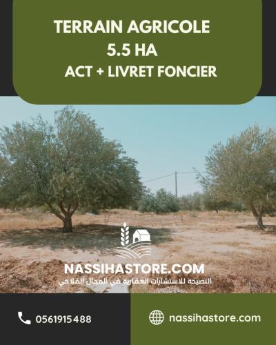 Vente Terrain Agricole Djelfa Birine