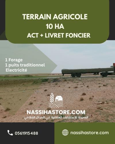 Vente Terrain Agricole Djelfa Djelfa