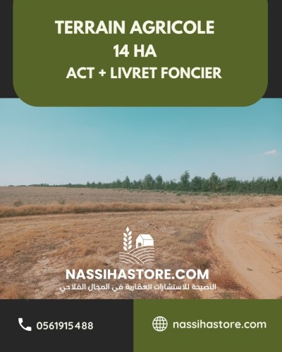 Vente Terrain Agricole Djelfa Birine