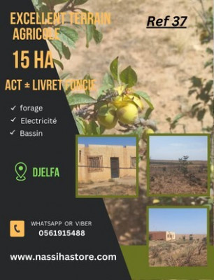 terrain-agricole-vente-djelfa-algerie