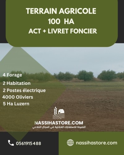 Vente Terrain Agricole Djelfa Benhar