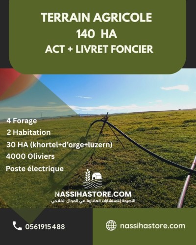 Vente Terrain Agricole Djelfa Ain oussara