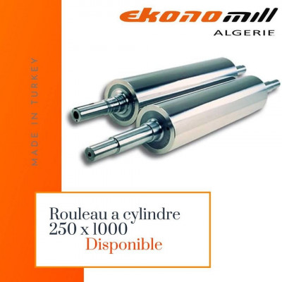 industrie-fabrication-rouleau-a-cylindre-blida-algerie