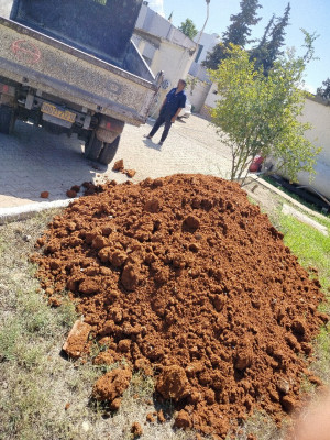 construction-travaux-vente-bon-terre-vegetale-rouge-pour-jardinage-متوفر-تراب-احمر-للغرس-جودة-عالية-rouiba-alger-algerie