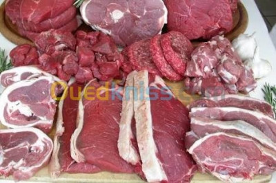 animaux-de-ferme-viande-veau-et-dangeau-el-harrach-alger-algerie